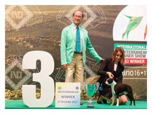 PRIMO CAVALIERE 1 MILLION