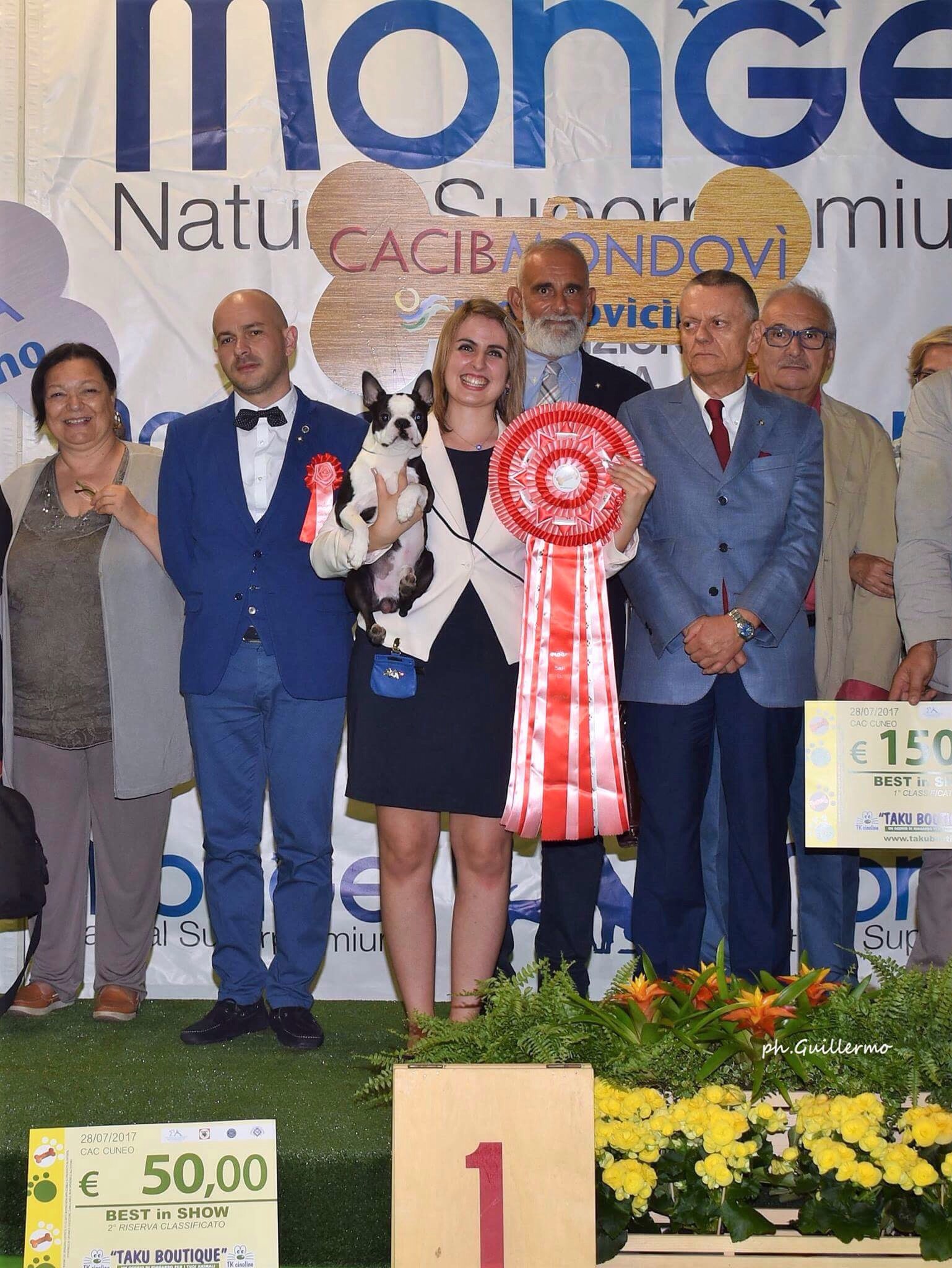 Mondovi Ids - Nds and Specialty Boston Terrier